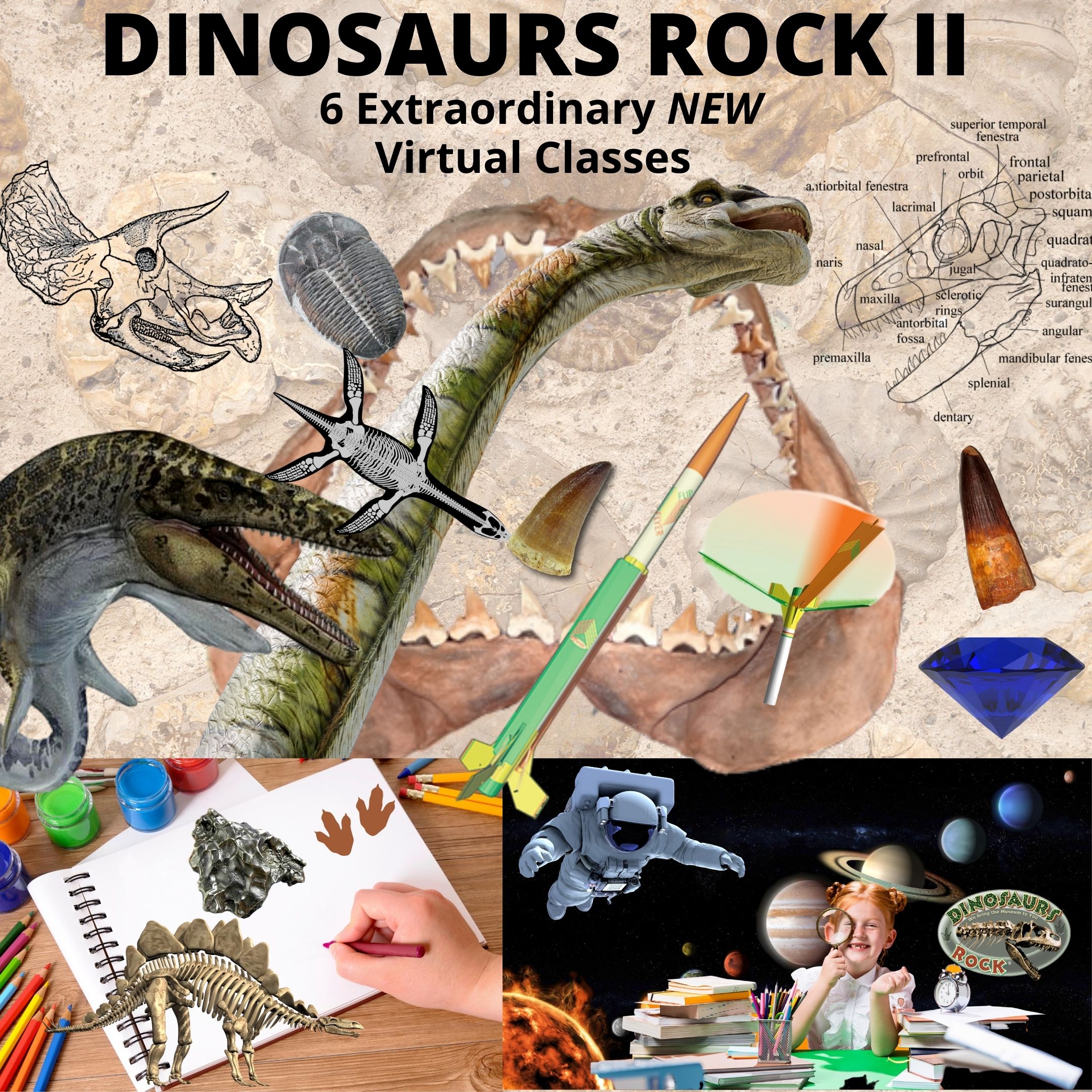 Copy of DR Advanced Class2b