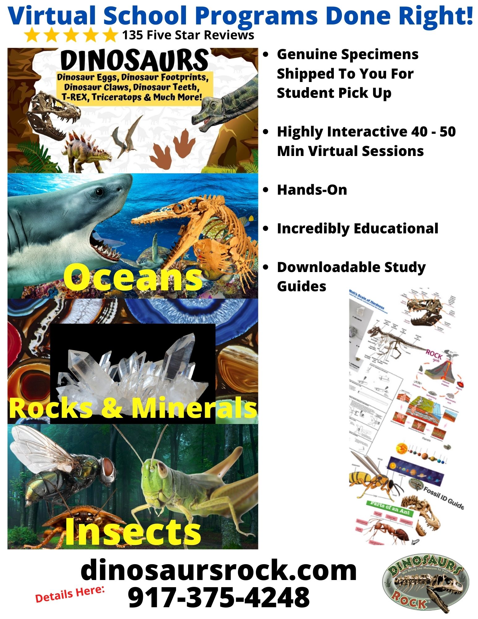 Virtual School Programs Done Right!7