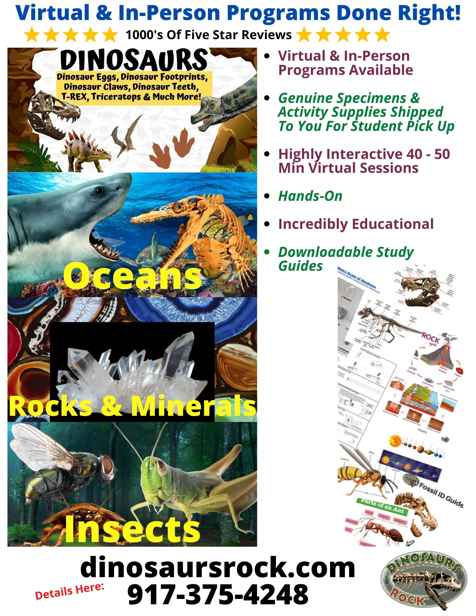 Dinosaurs Rock Programs6