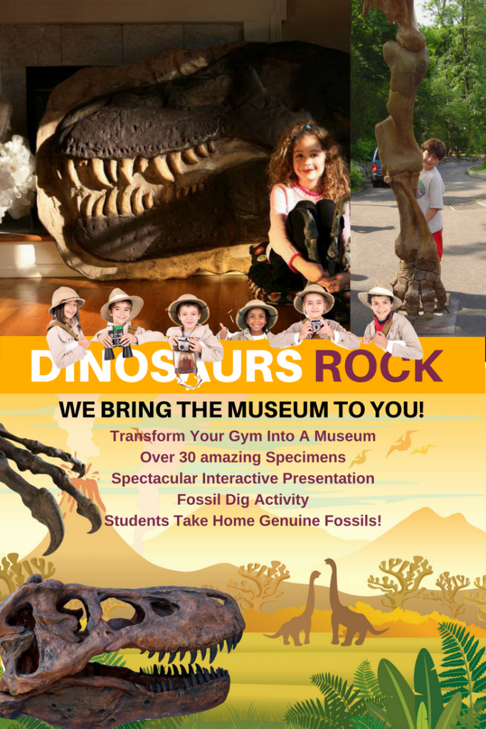 Jurassic Dinosaur Birthday Parties, Gem Mining Birthday Party, Ocean ...