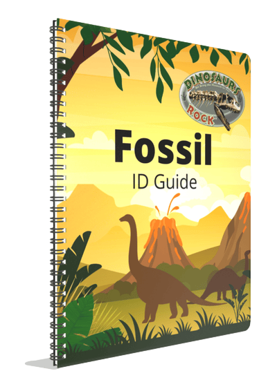 Dinosaurs Rock Downloadable Booklet