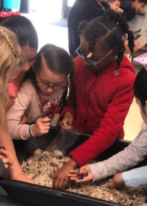 Kids digging for fossils and minerals to keep at a Dinosaurs Rock Birthday Party