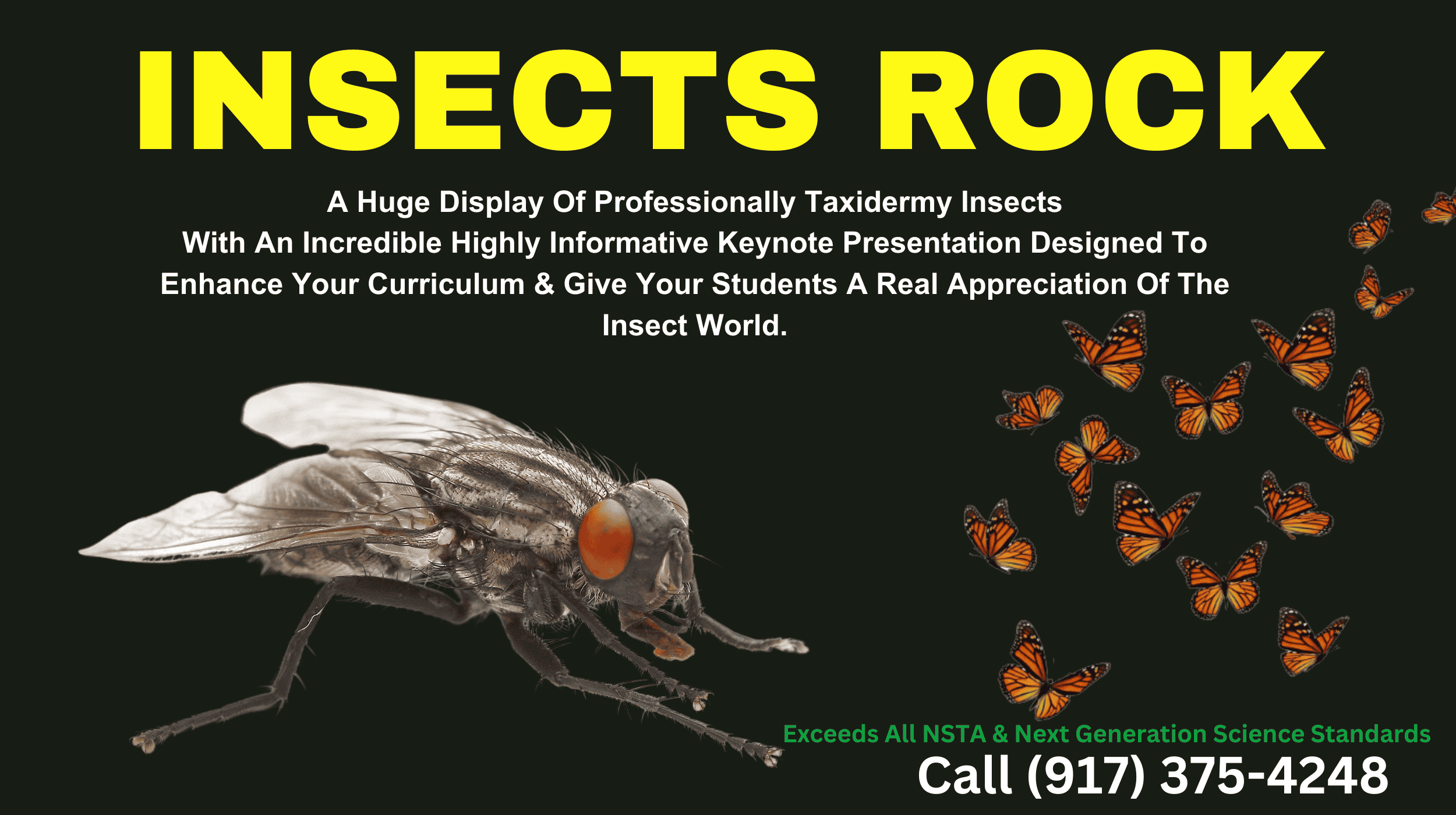 Insect Rock School Assembly.  From Metamorphosis  to Guant Prehistoric Insects - Your Students Will Be Fascinated.