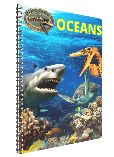 Oceans Rock Downloadable Book