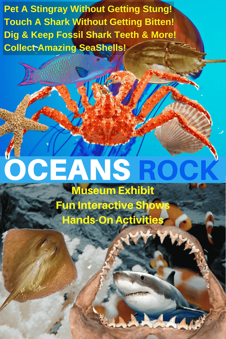 Oceans Rock School Assembly