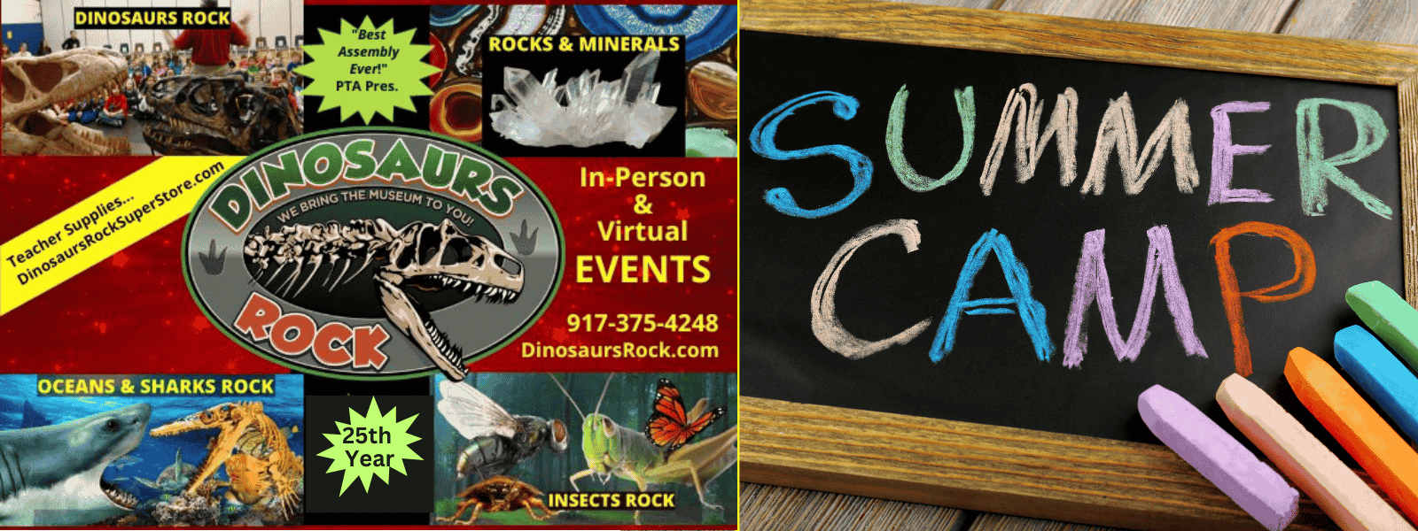 Summer Camp Programs - Gemstone Mining, Dinosaurs Rock, Oceans and Sharks, Insects.