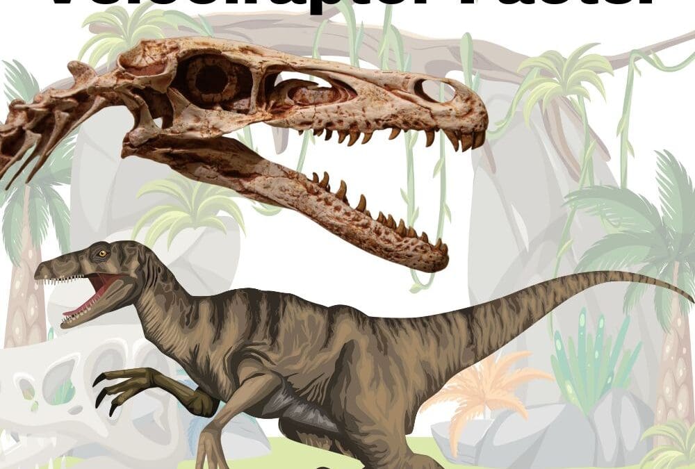 5 Amazing Velociraptor Facts