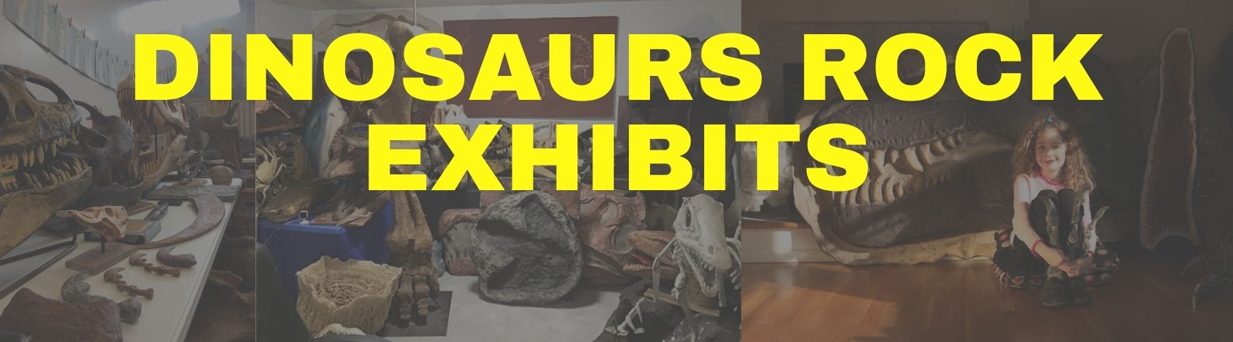 Dinosaurs Rock Exhibits featuring many dinosaur fossil specimens