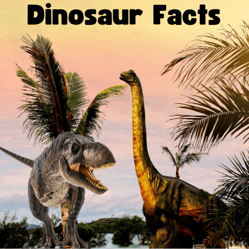 T-REX & Brachiosaurus walking on land with palm trees behind them. Dinosaur Facts