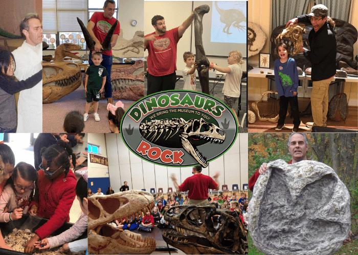 various dinosaurs rock instructors showing specimens to students