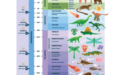 The Evolution of Dinosaurs: From the Triassic to the Cretaceous