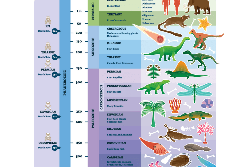 The Evolution Of Dinosaurs: From The Triassic To The Cretaceous