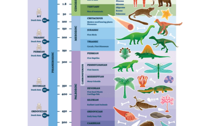 The Evolution Of Dinosaurs: From The Triassic To The Cretaceous