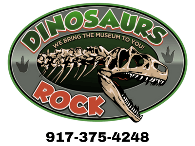 Dinosaurs Rock Birthday party, School Assembly, Library and Summer Camp Programs