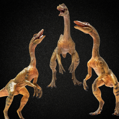 3 Ornithopod Dinosaurs