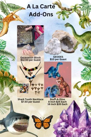 a-variety-of-dinosaurs-shark-butterfly-crystal surrounding-the-a-la-cart-add-ons