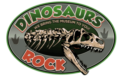 Dinosaurs Rock Programs – What You Can Expect From Our Programs