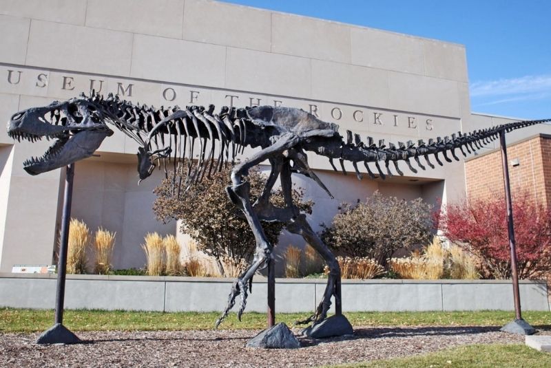 giant T-Rex sculpture on display outside the Museum of the Rockies building