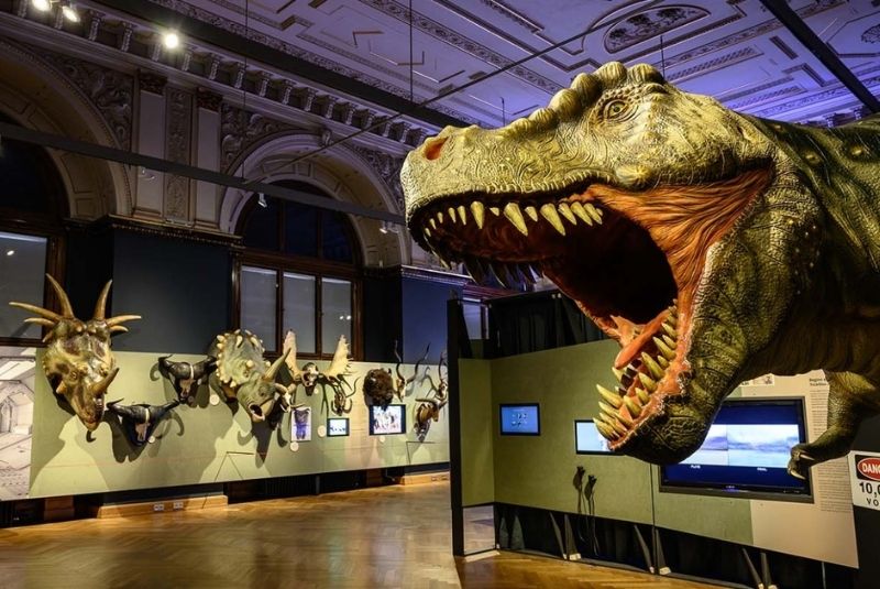 Giant realistic T-rex head with open mouth staring at you with dinosaur skull in the background at the<br />
Natural History Museum in Vienna, Austria<br />
