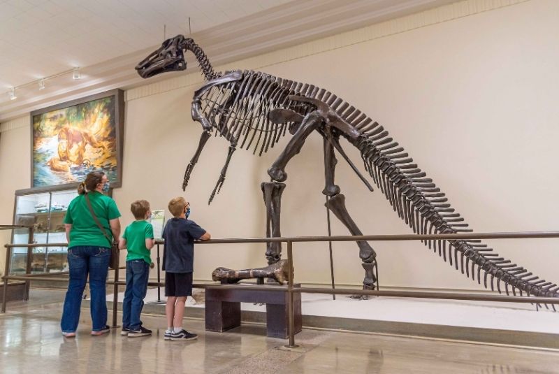  3 family members looking at the Edmontosaurus Skeleton at theSouth Dakota School of Mines Museum of Geology