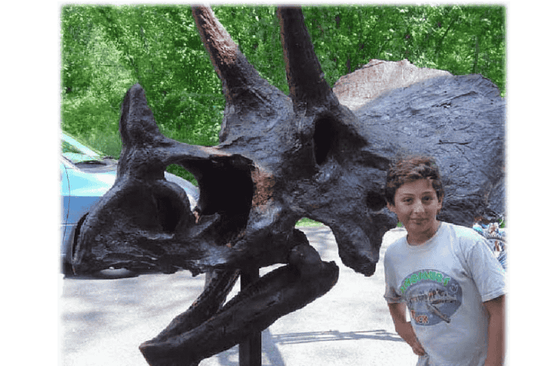 young boy next to 8 foot long triceratops skull