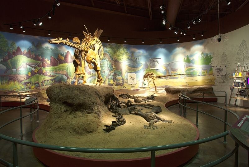 Stegosaurus Dinosaur inside the Utah Field House of Natural History State Park Museum