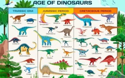 Dinosaur Chart &ndash; Dinosaurs From The Triassic, Jurassic & Cretaceous Periods