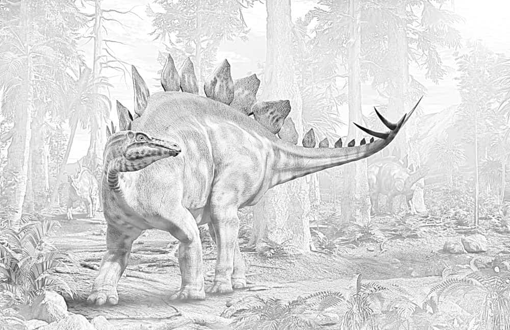 computerized pencil style drawing of Stegosaurus