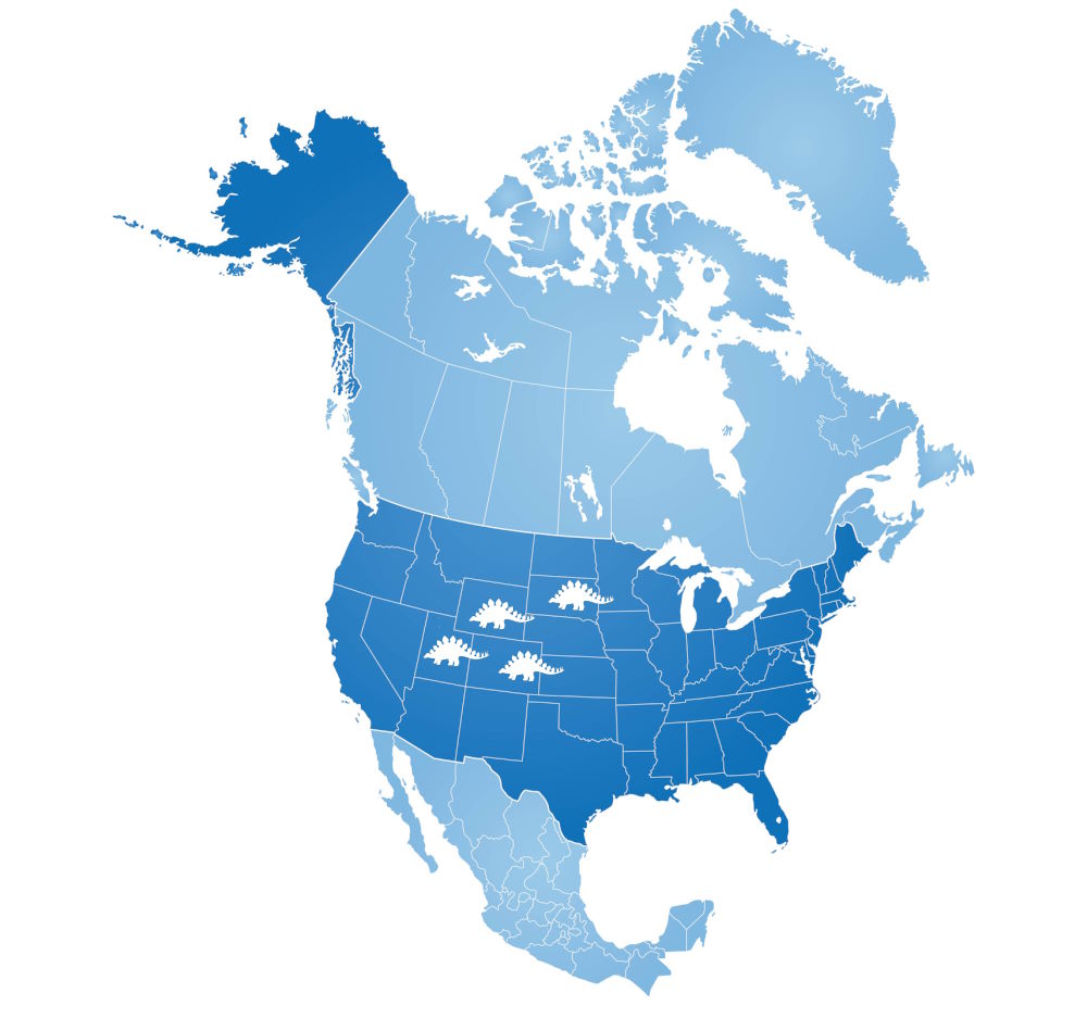 Vector image of North America showing where Stegosaurus lived years ago showing where