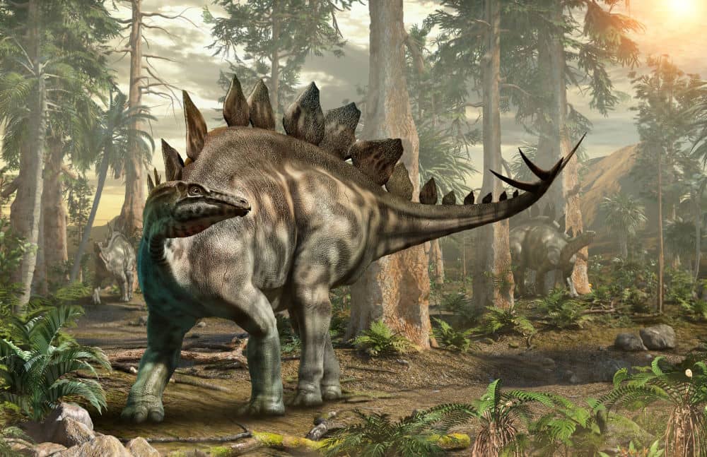 stegosaurus were approx 30 feet (9 meters) long and weighed about 5–7 tons