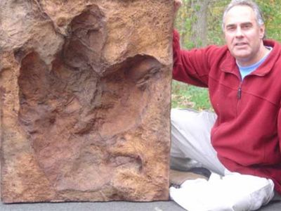 dinosaurs rock instructor sitting next table a cast t-rex footprint from Cimarron New Mexico