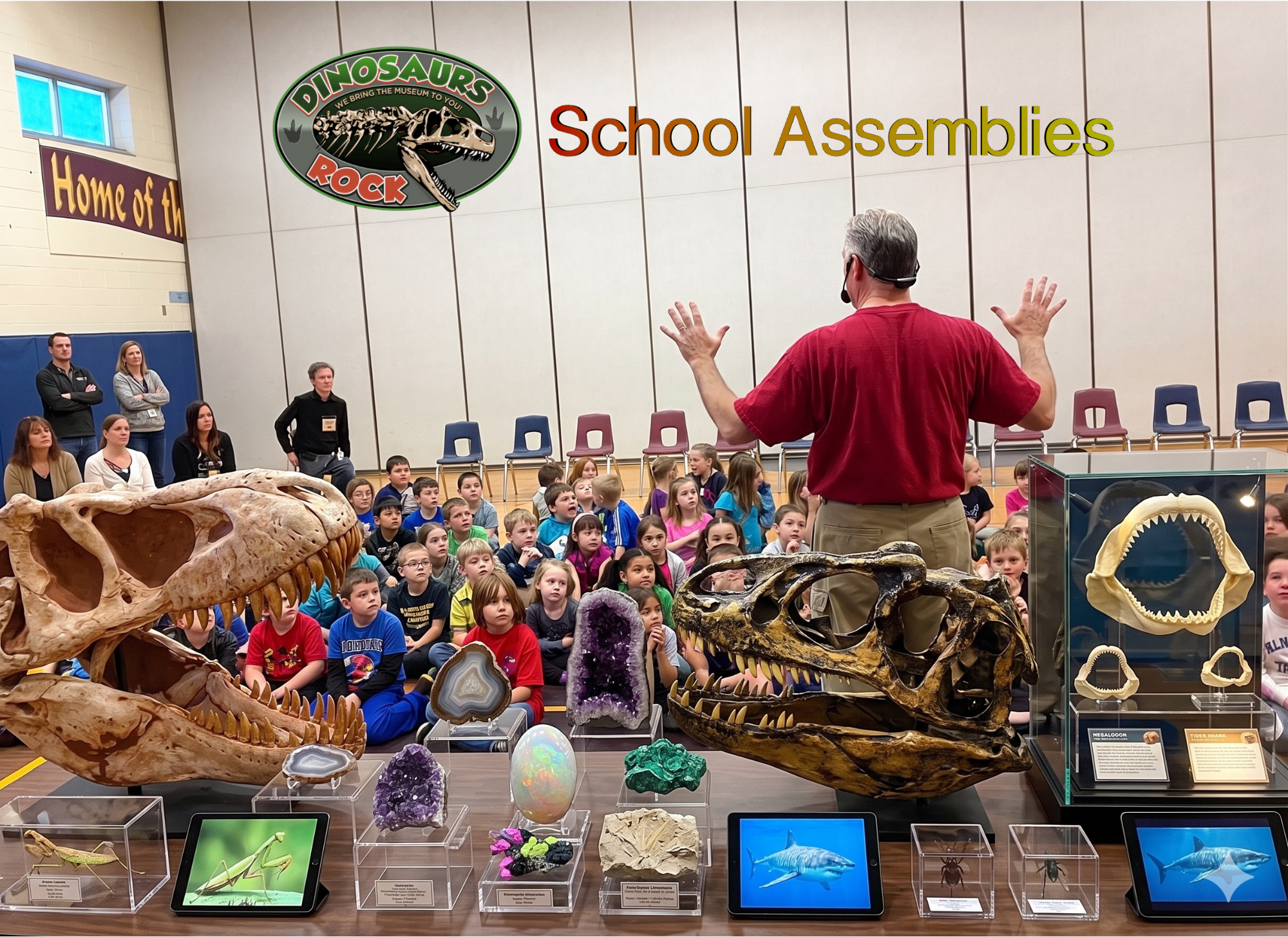 Teacher leads a school assembly in a gym with dinosaur displays and a crowd of children watching a presenter with a mic.