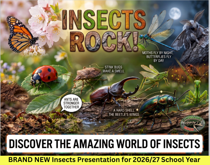 Insects Rock School Assembly